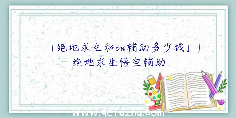「绝地求生和ow辅助多少钱」|绝地求生悟空辅助